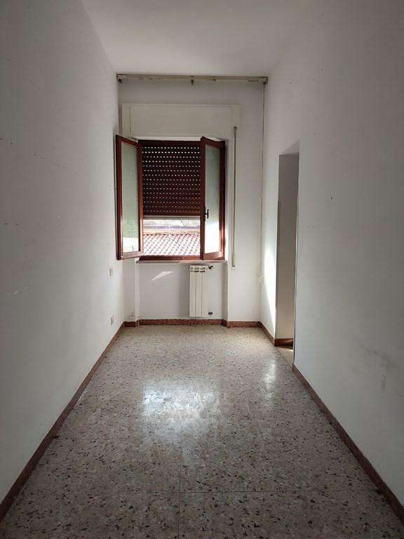  - foto 11