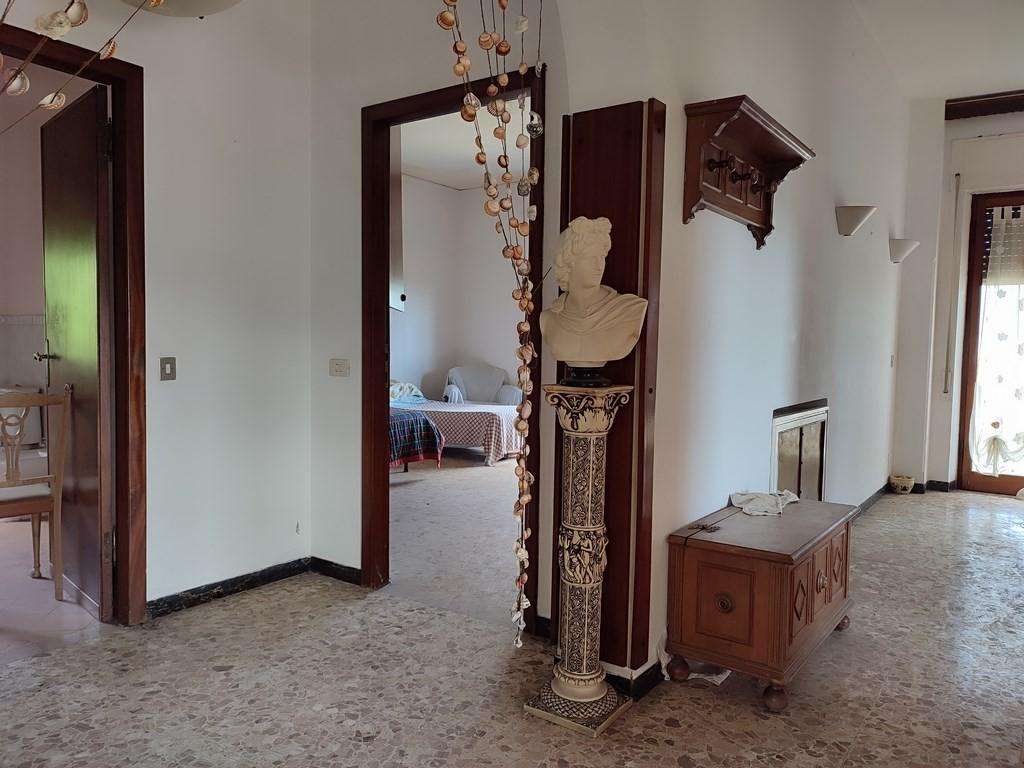  - foto 13