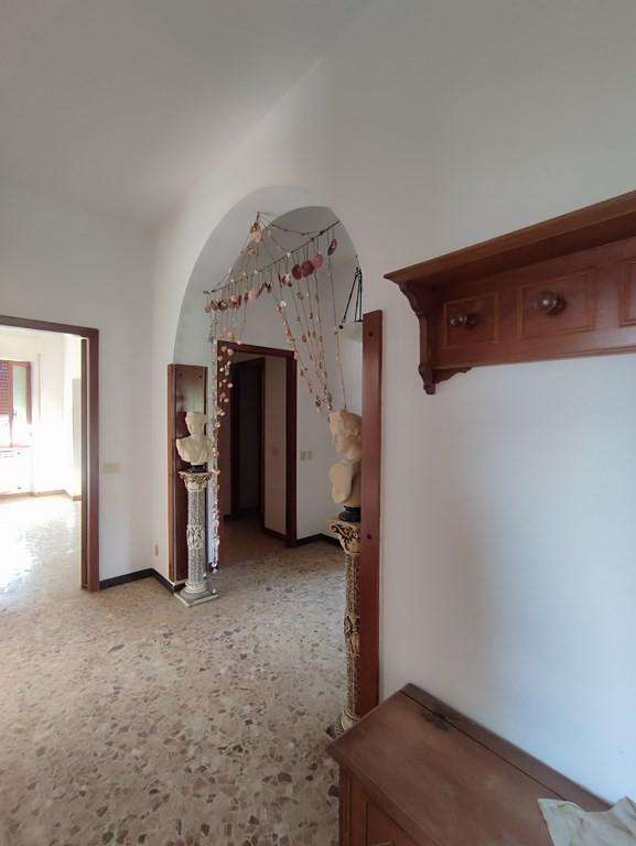  - foto 15