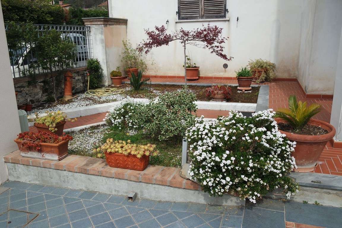  - foto 43