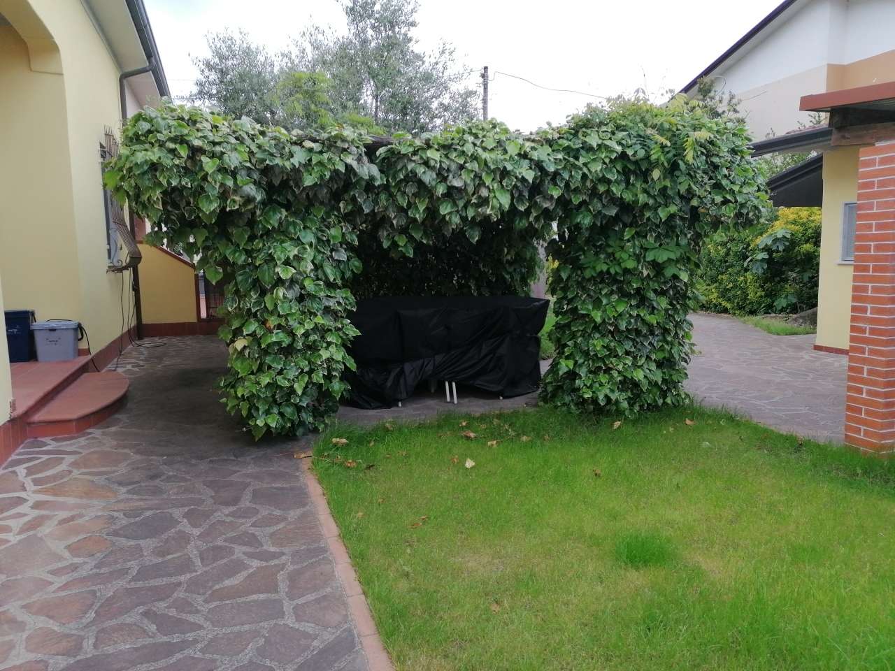  - foto 16