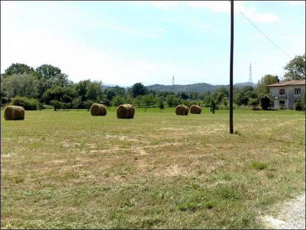 Terreno agricolo in Vendita a Sarzana Sarzana