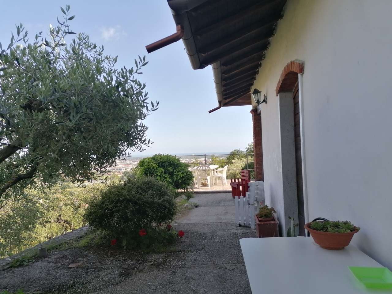  - foto 41