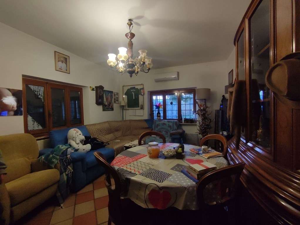  - foto 13