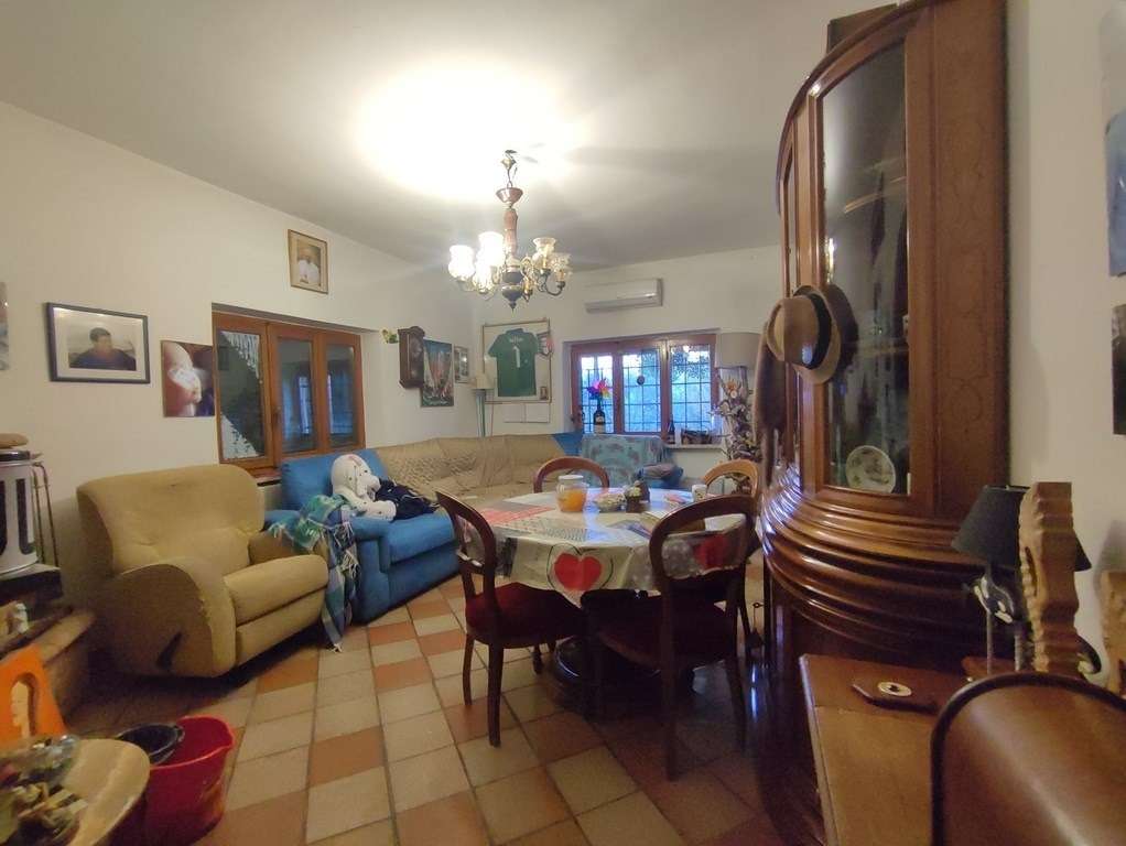  - foto 14