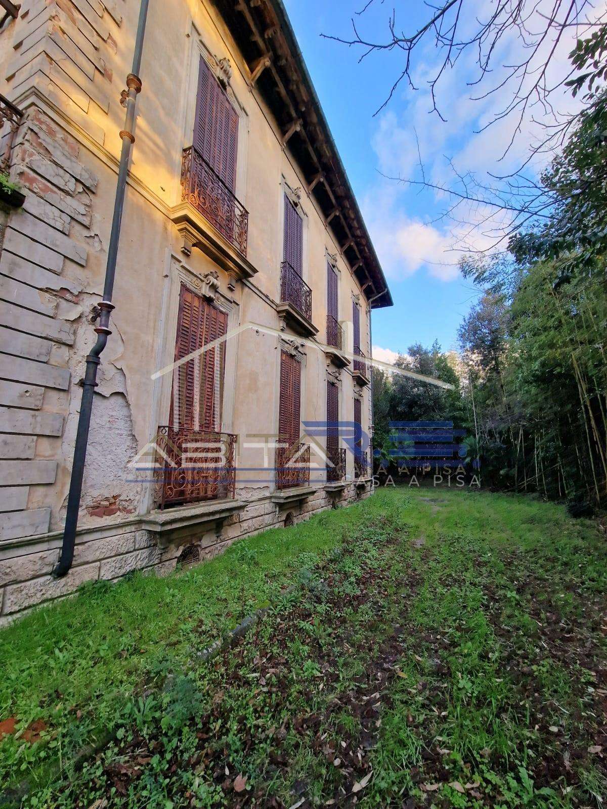  - foto 13