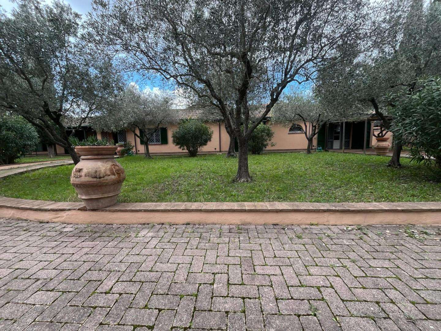  - foto 64