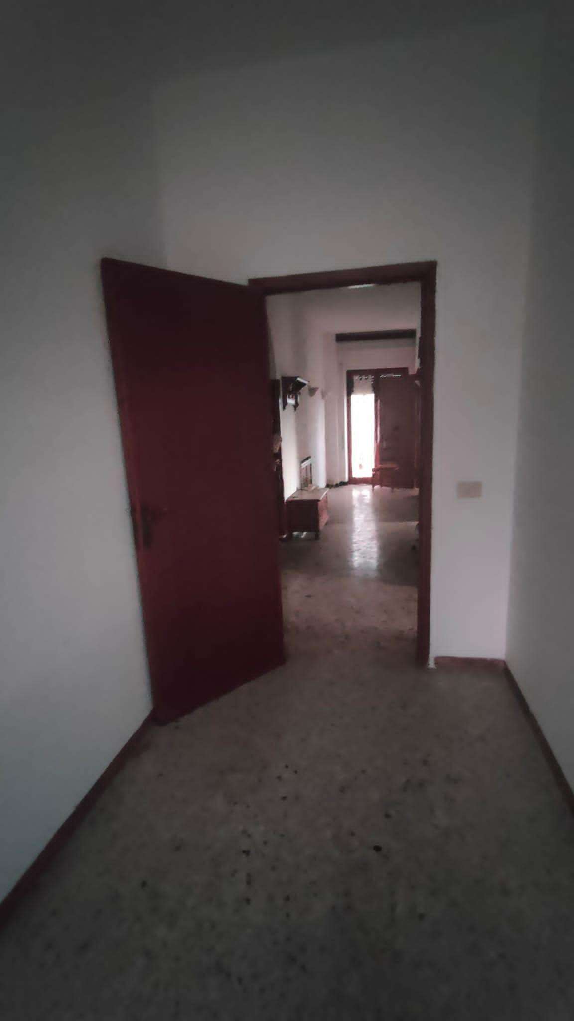  - foto 28
