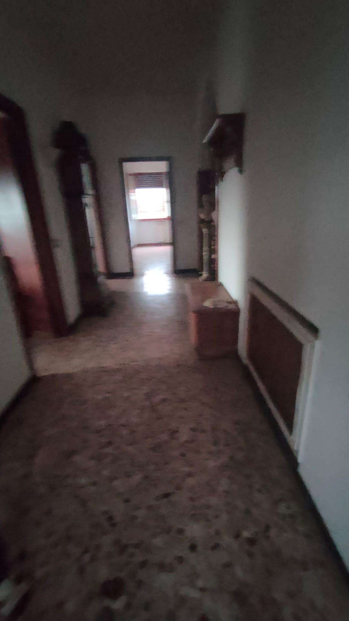  - foto 9