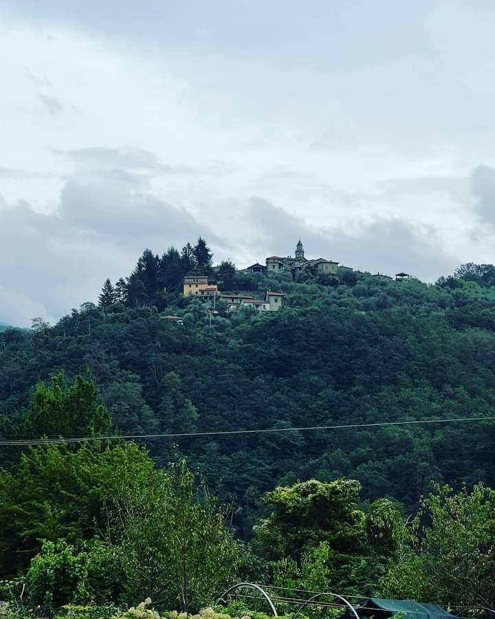  - foto 11