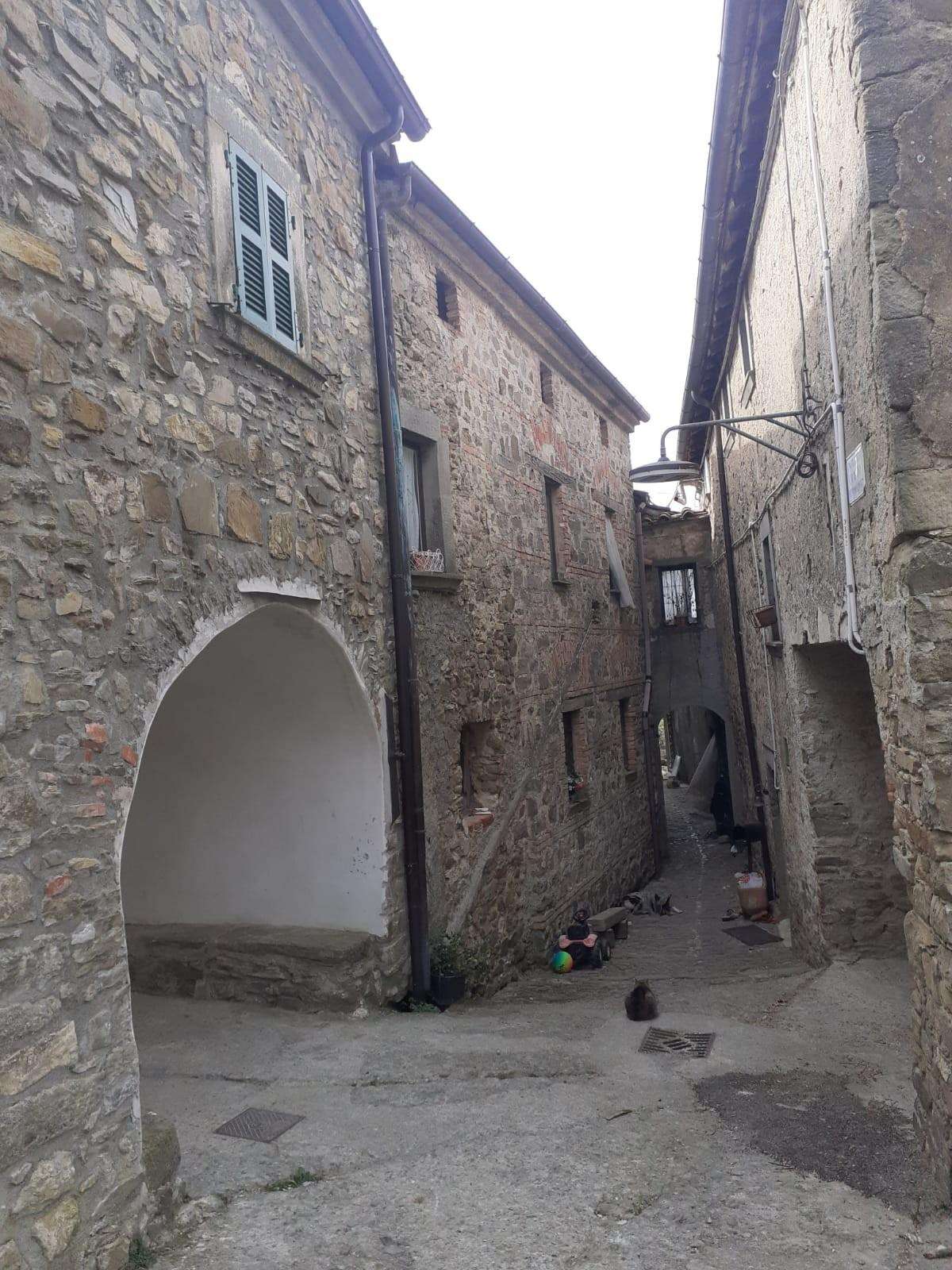  - foto 13