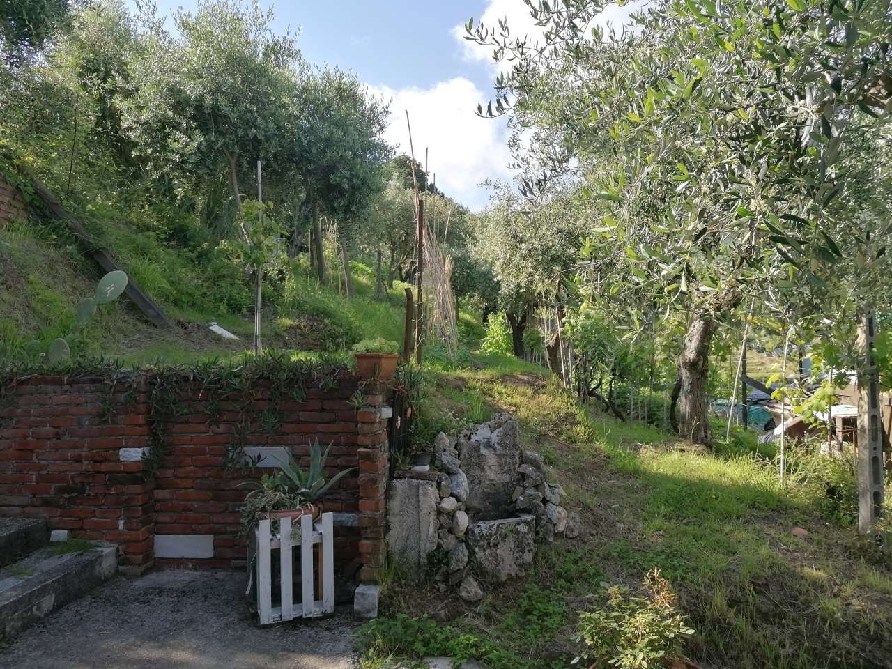 - foto 40