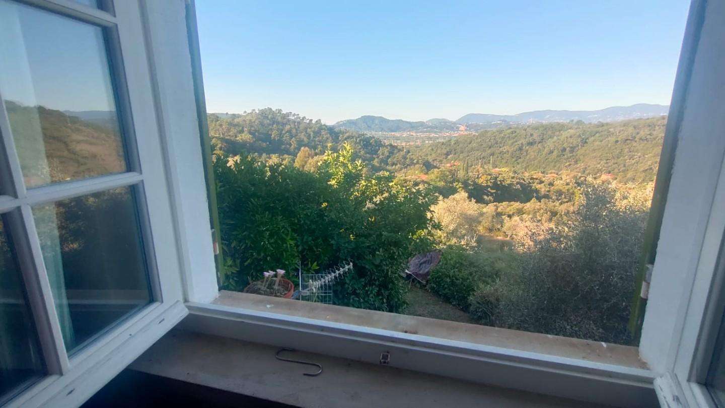  - foto 34