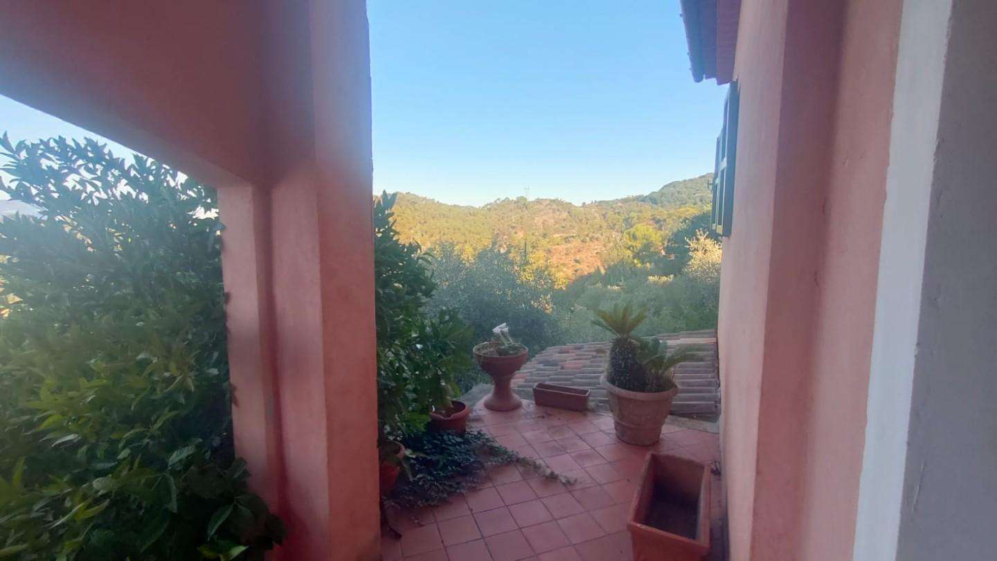 - foto 43