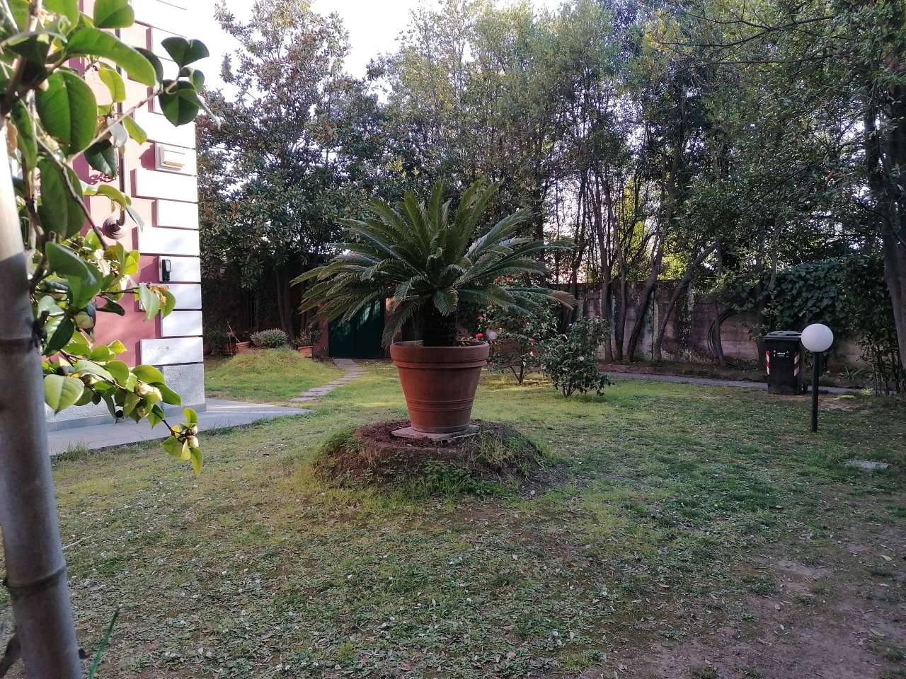  - foto 4