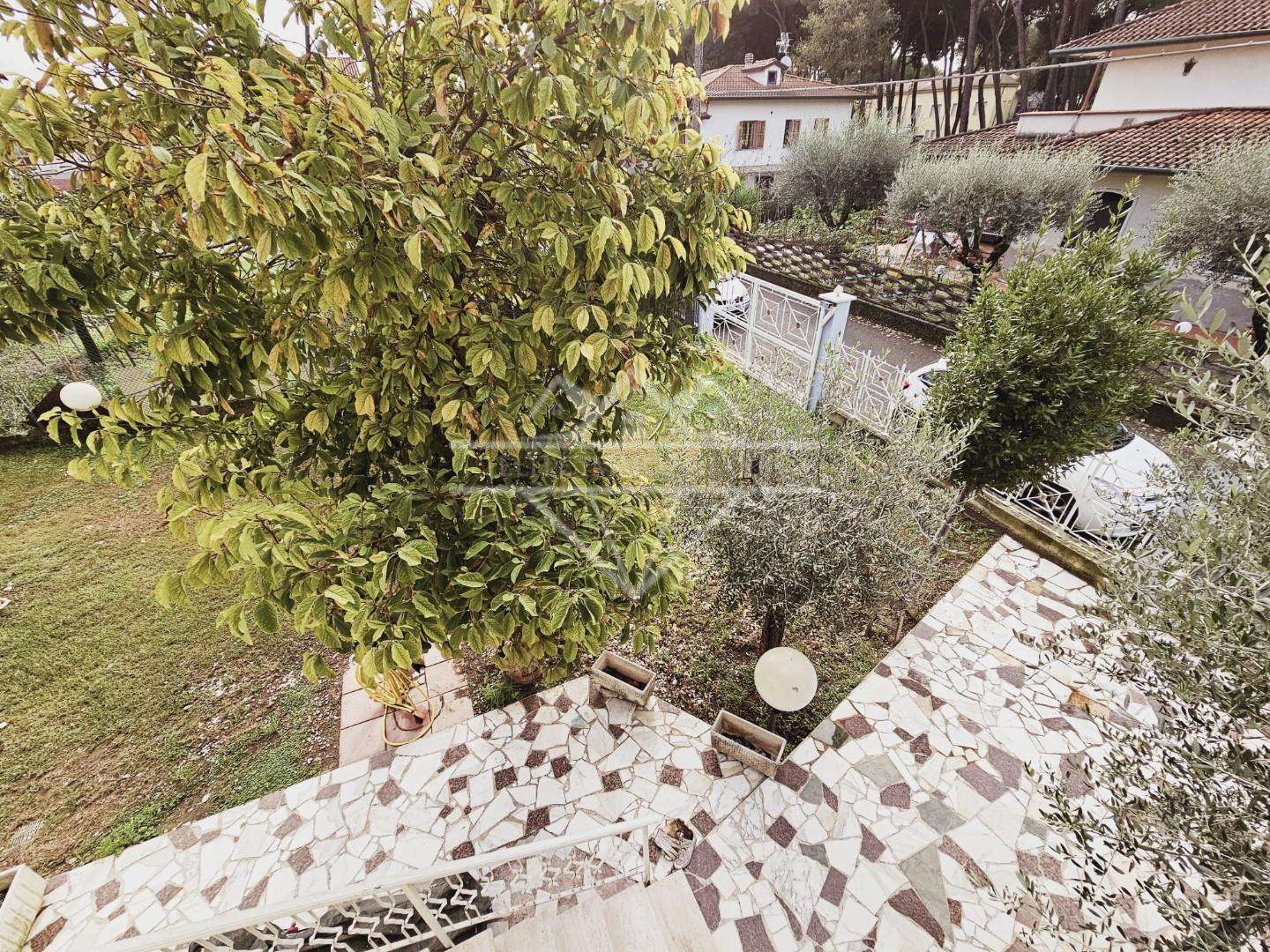  - foto 31