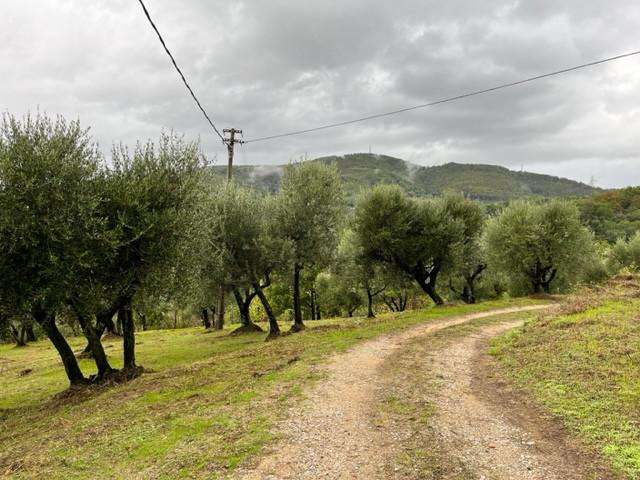  - foto 6