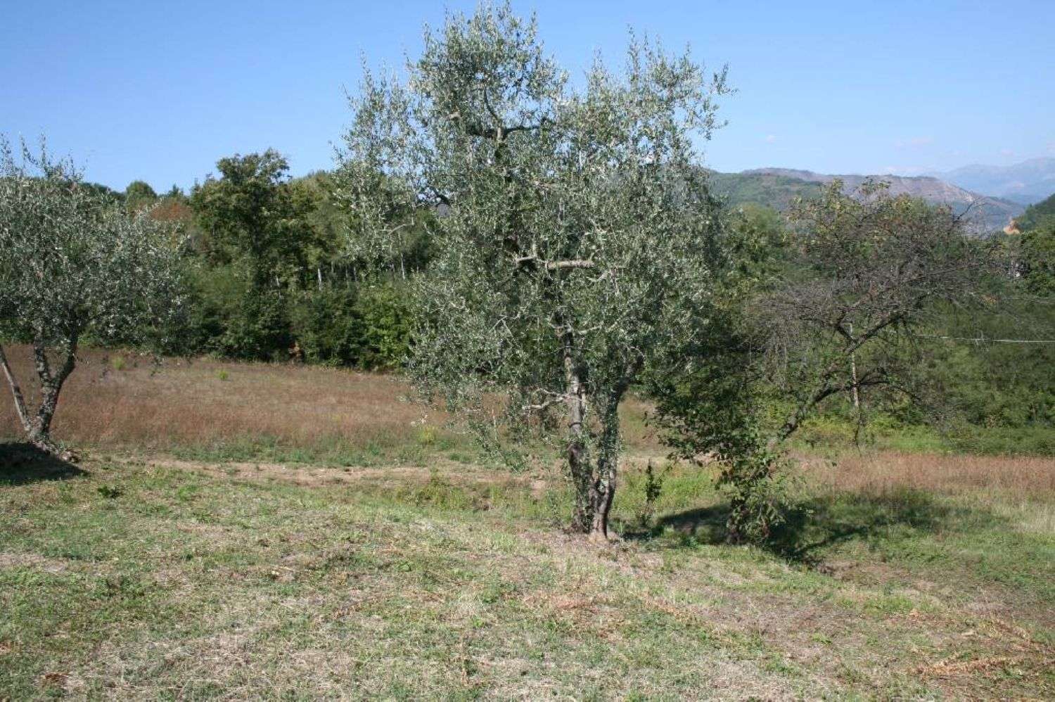 immagine annuncio 8 di 14