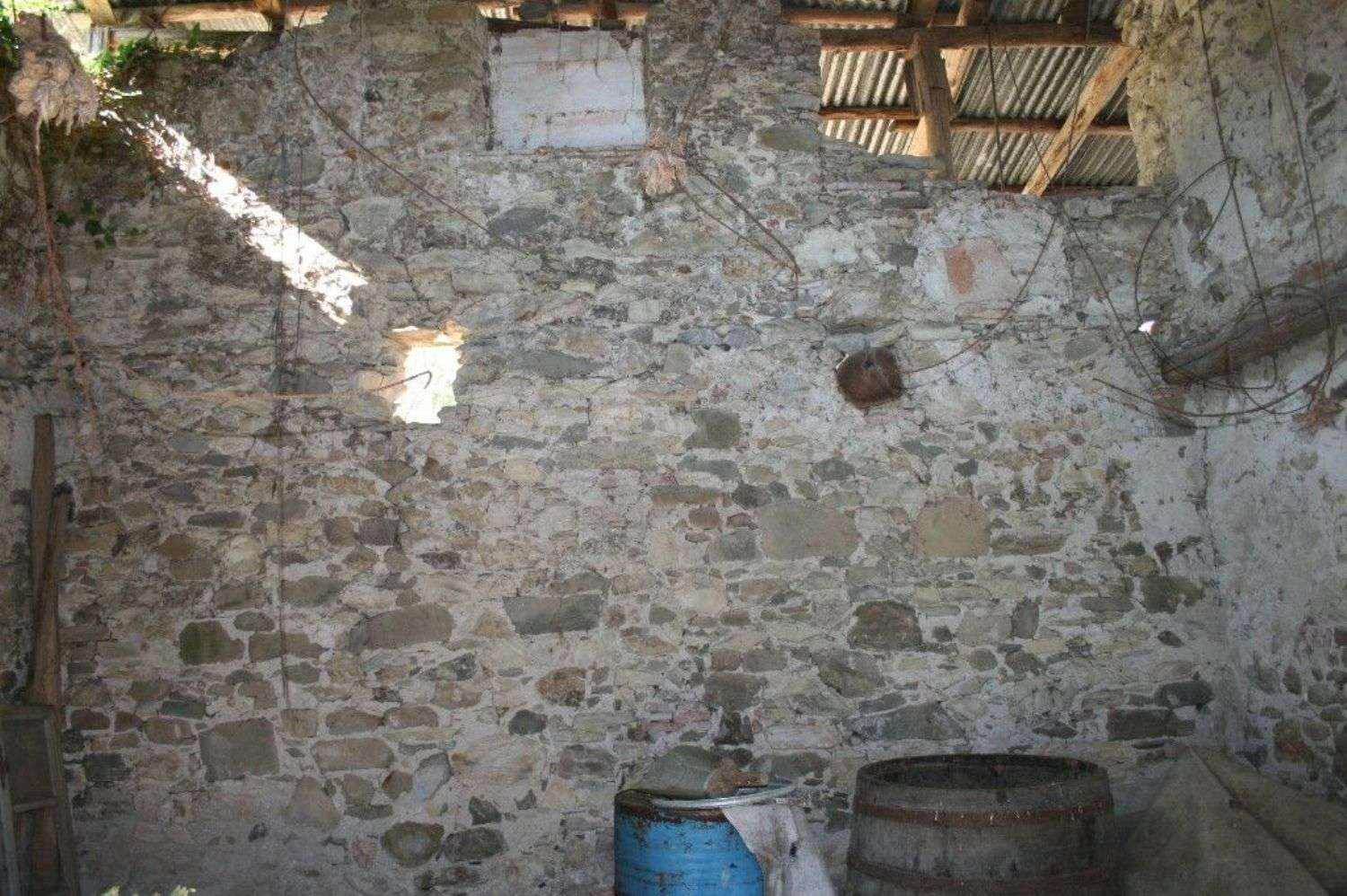 immagine annuncio 13 di 14