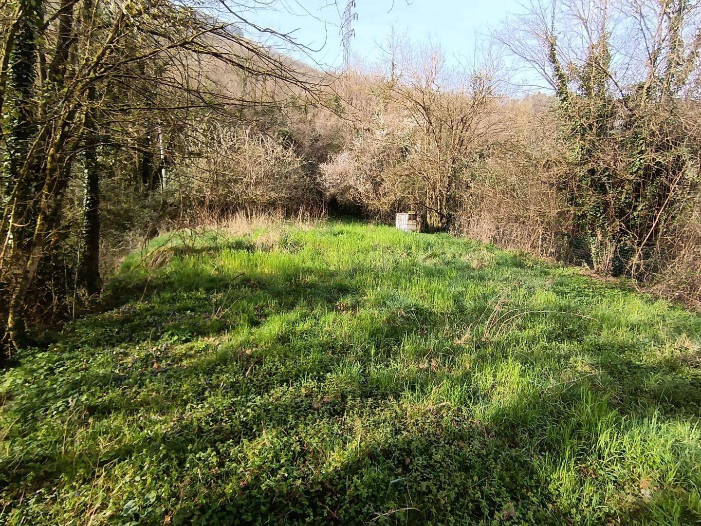  - foto 17