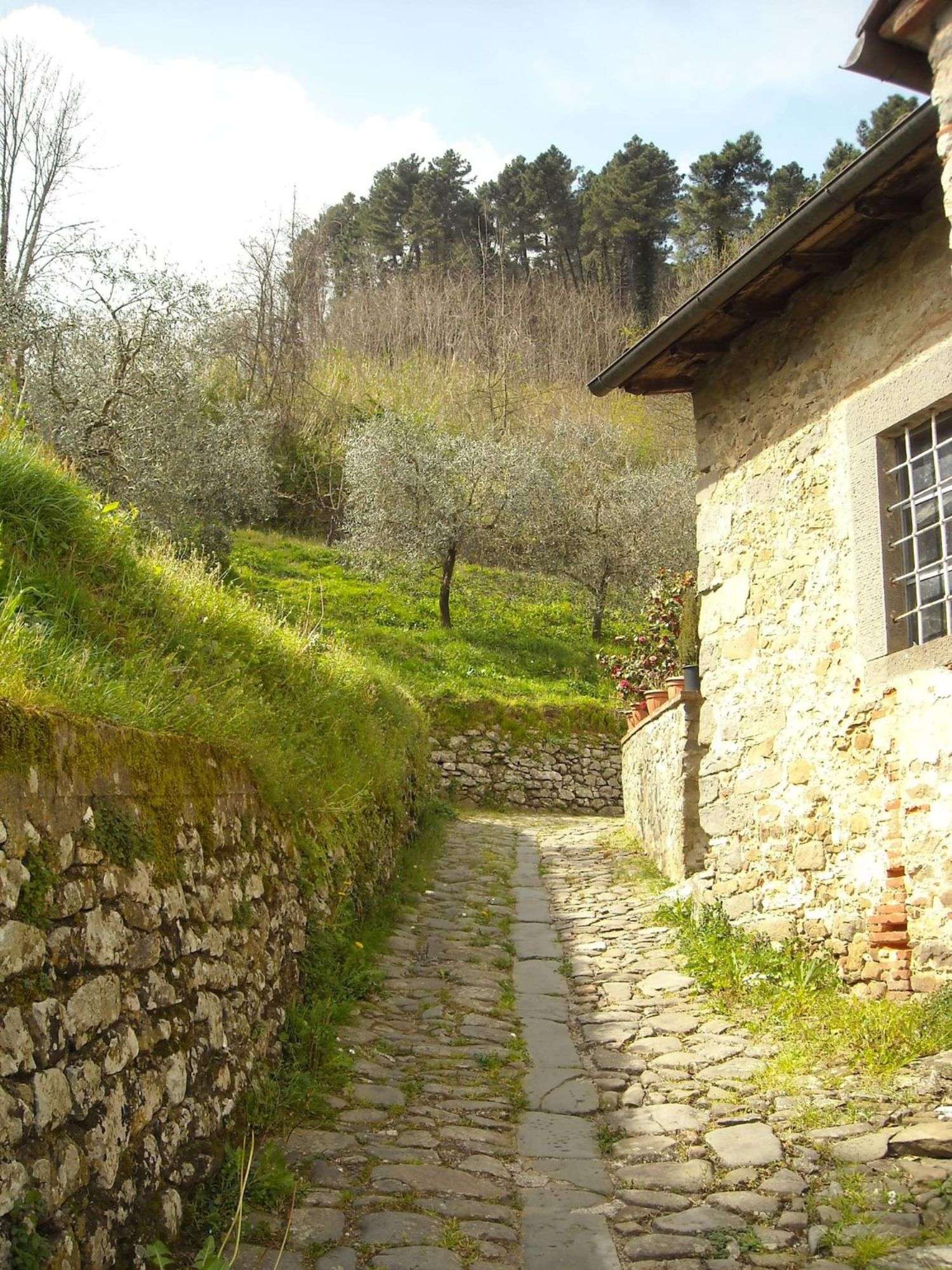 immagine annuncio 10 di 15