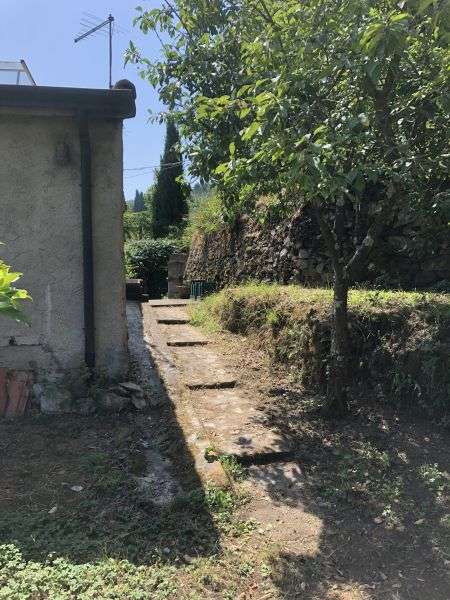  - foto 11