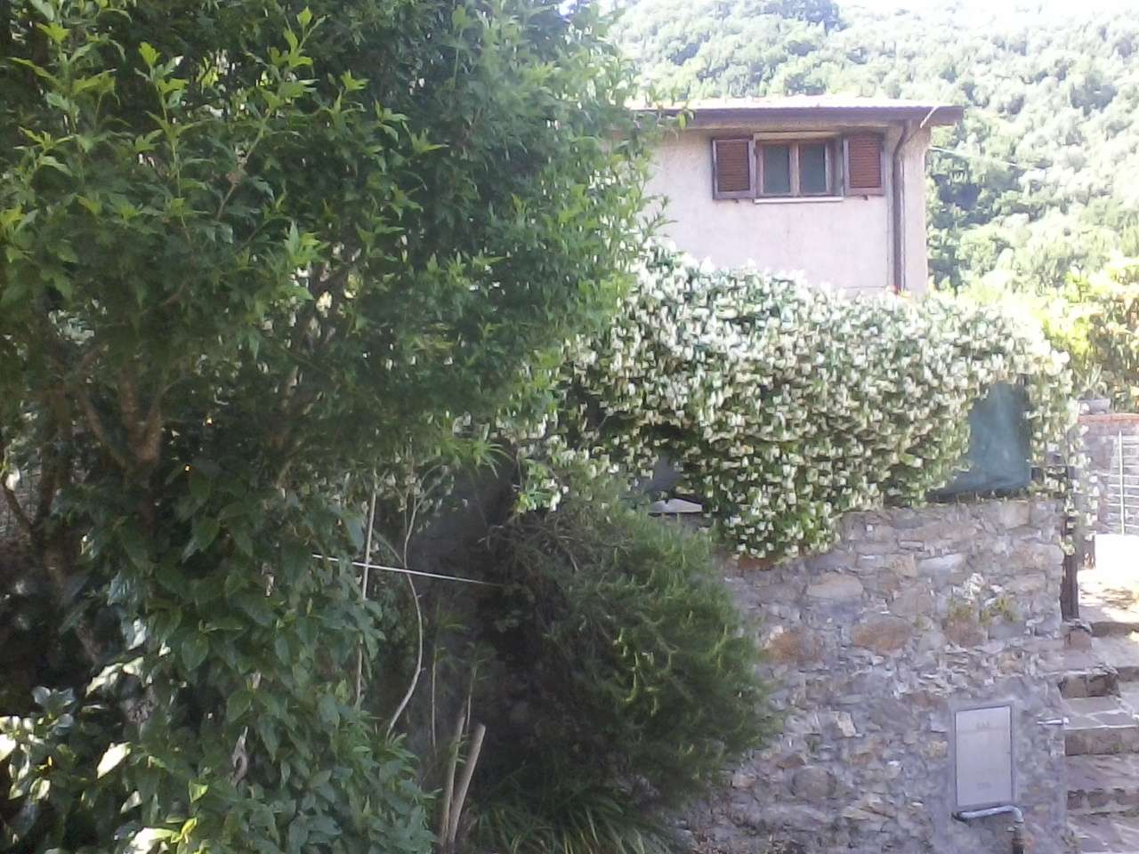  - foto 14