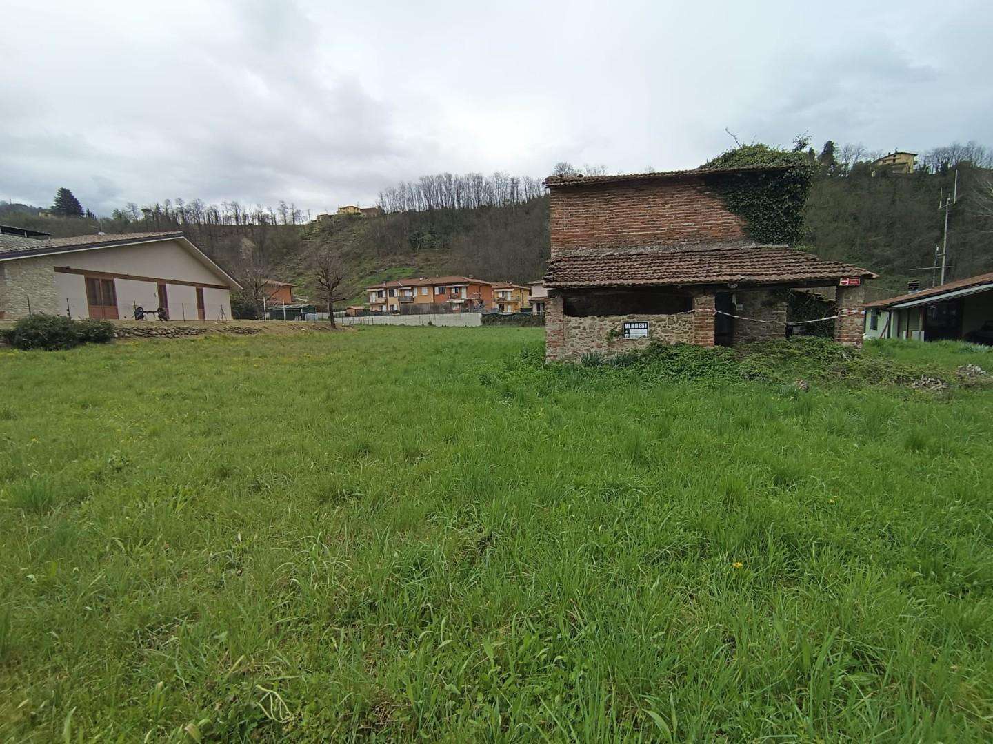 immagine annuncio 2 di 8