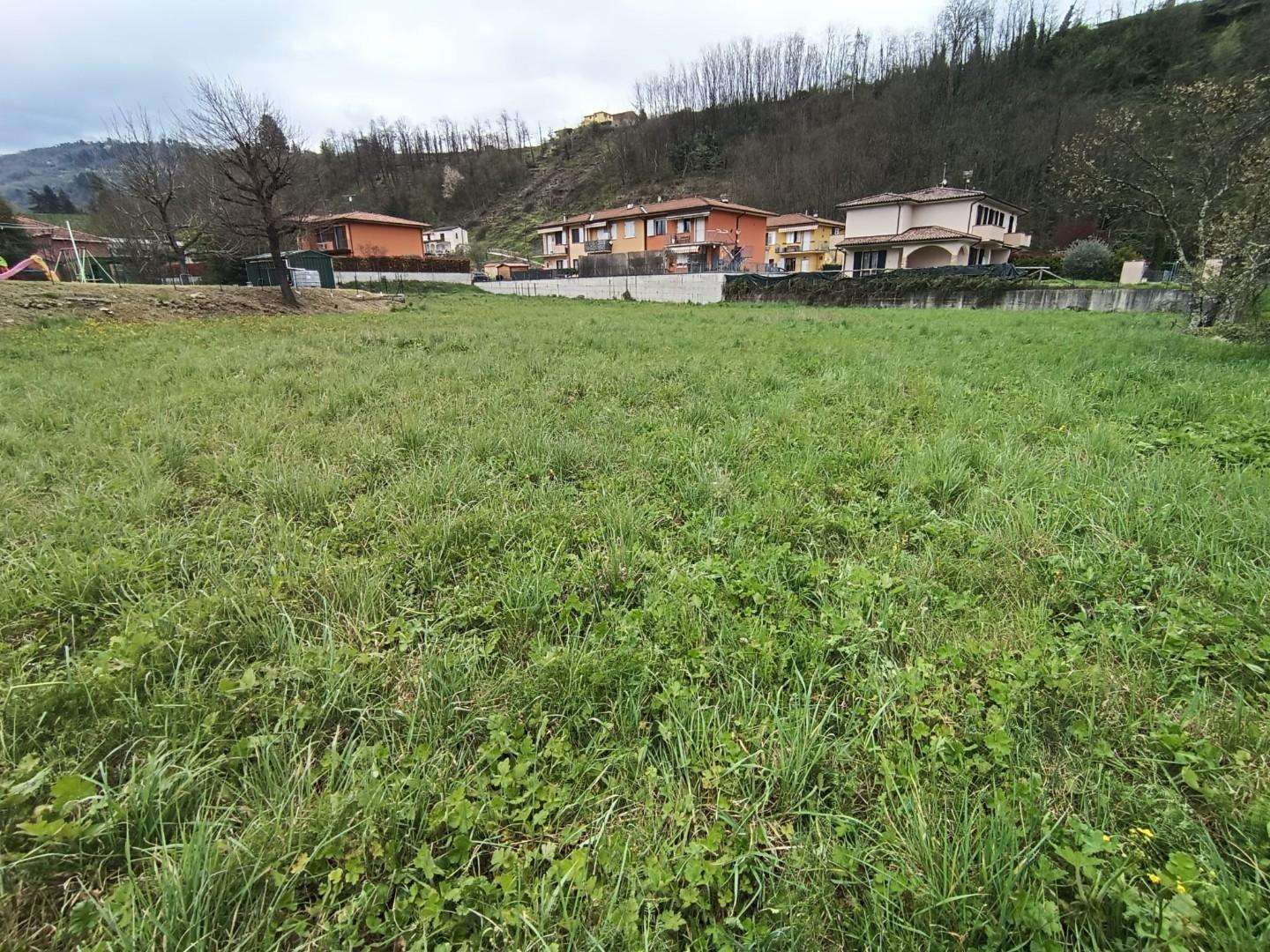 immagine annuncio 5 di 8
