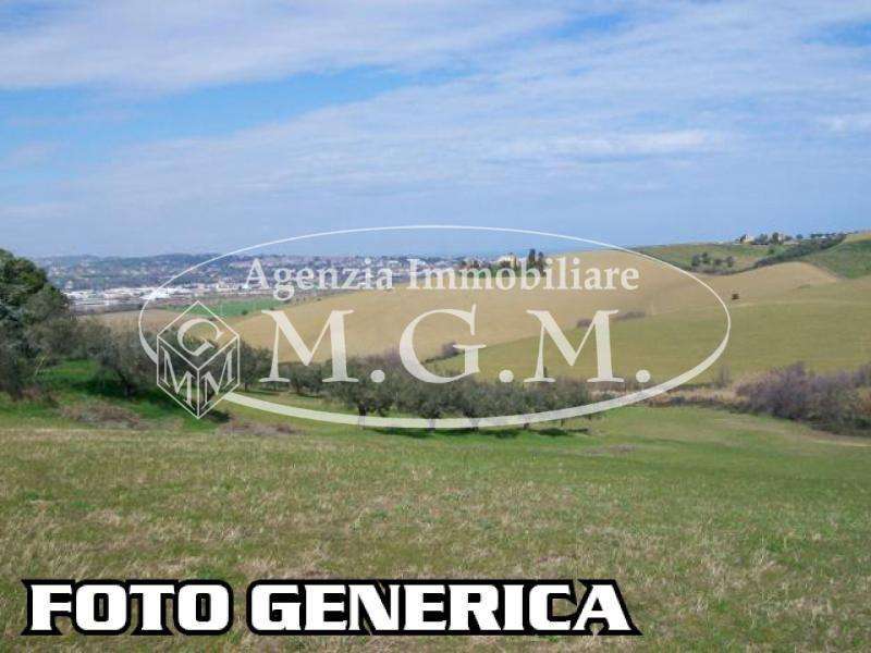 Terreno agricolo in Vendita a Santa Maria a Monte Santa Maria a Monte PI,