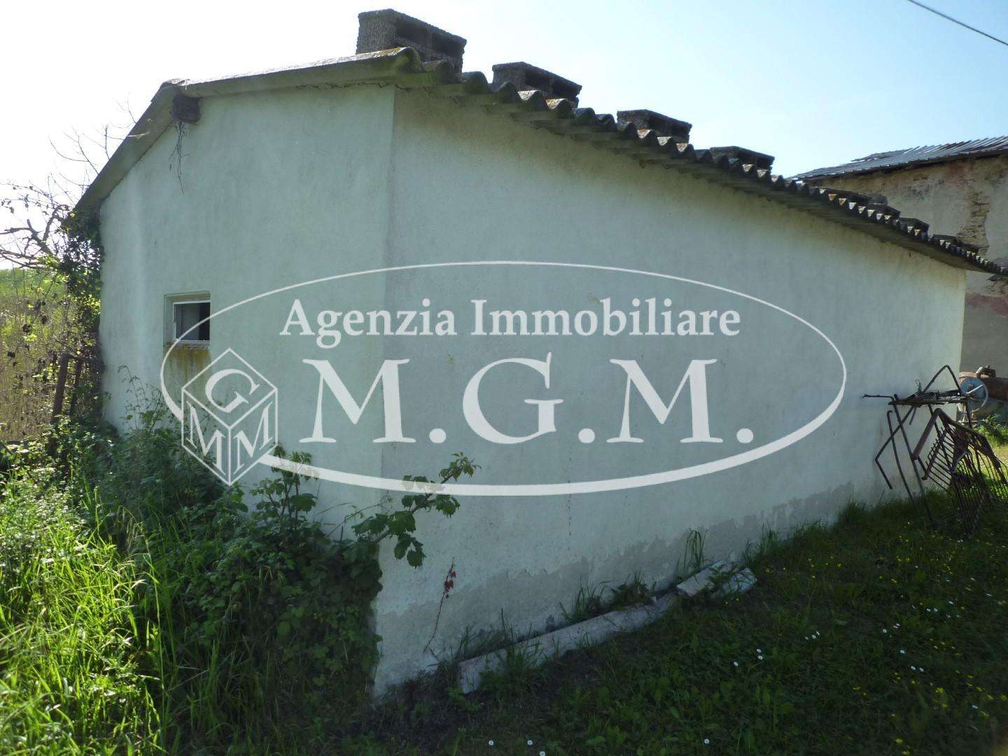 immagine annuncio 11 di 13