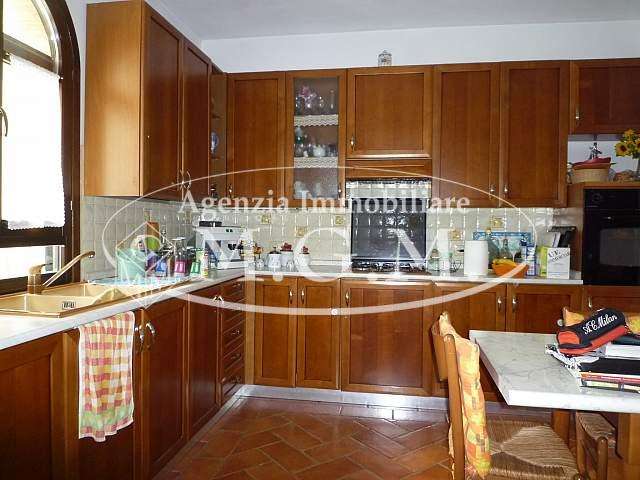 immagine annuncio 7 di 14