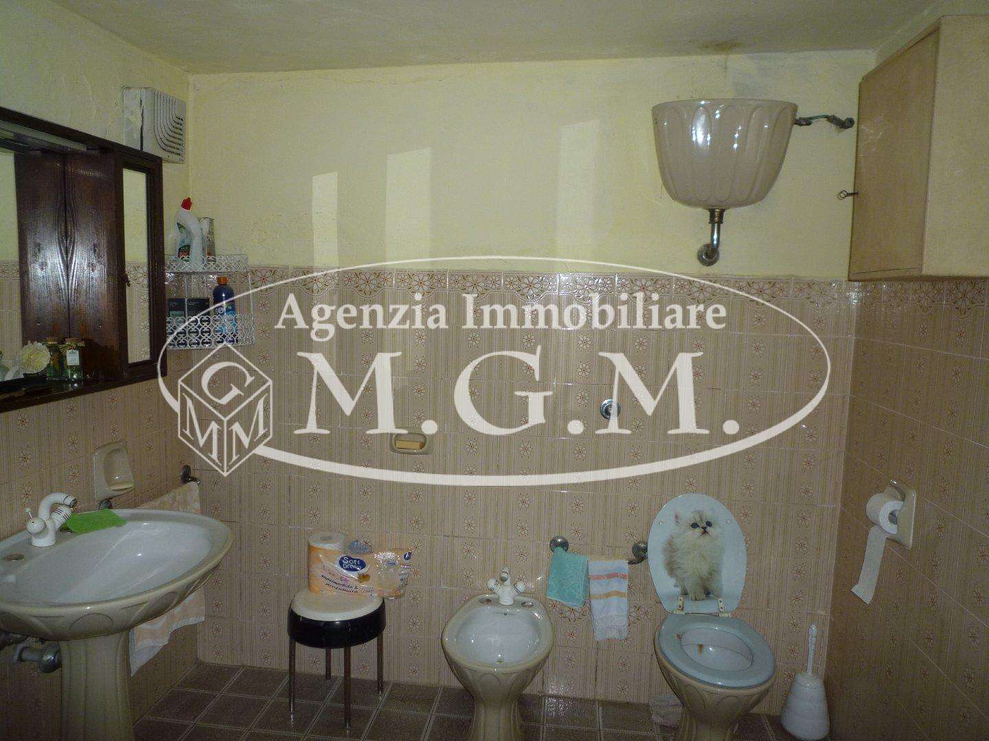  - foto 9