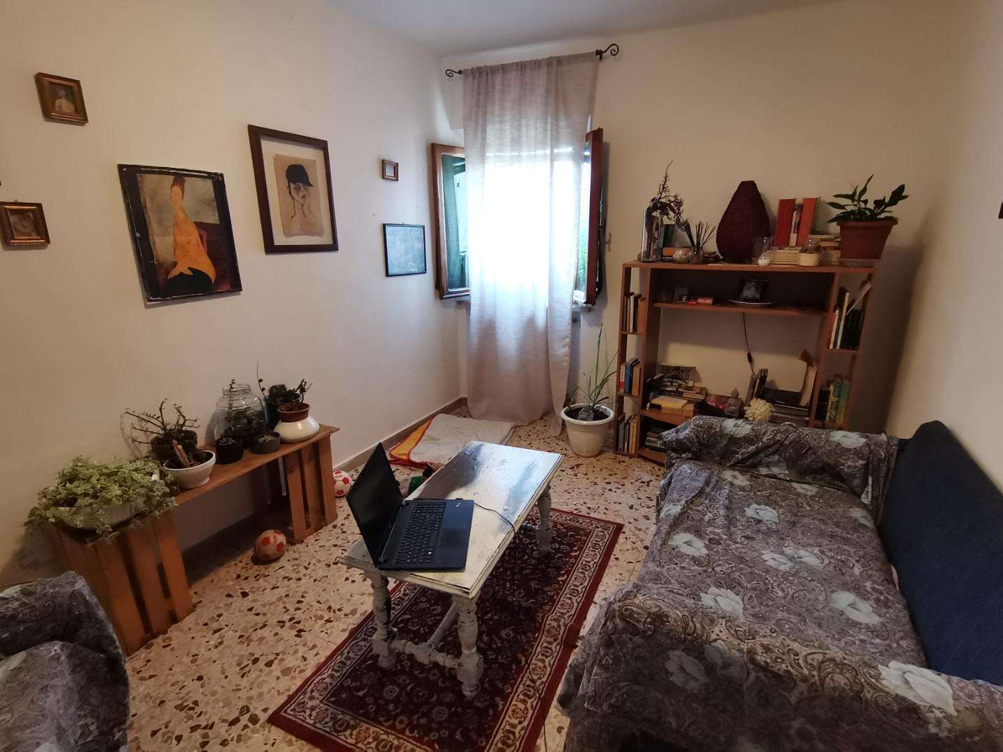 immagine annuncio 9 di 12