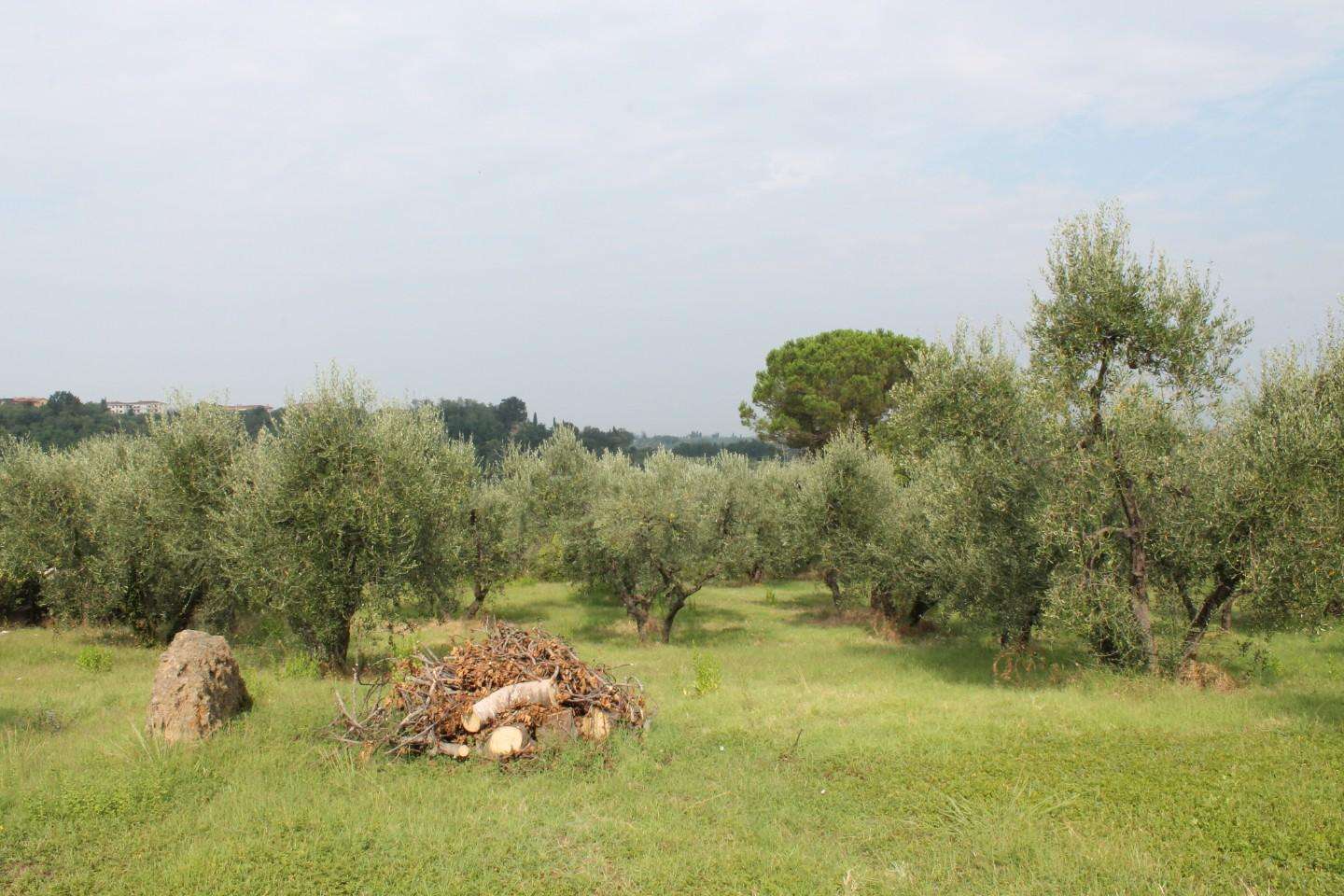 immagine annuncio 2 di 14