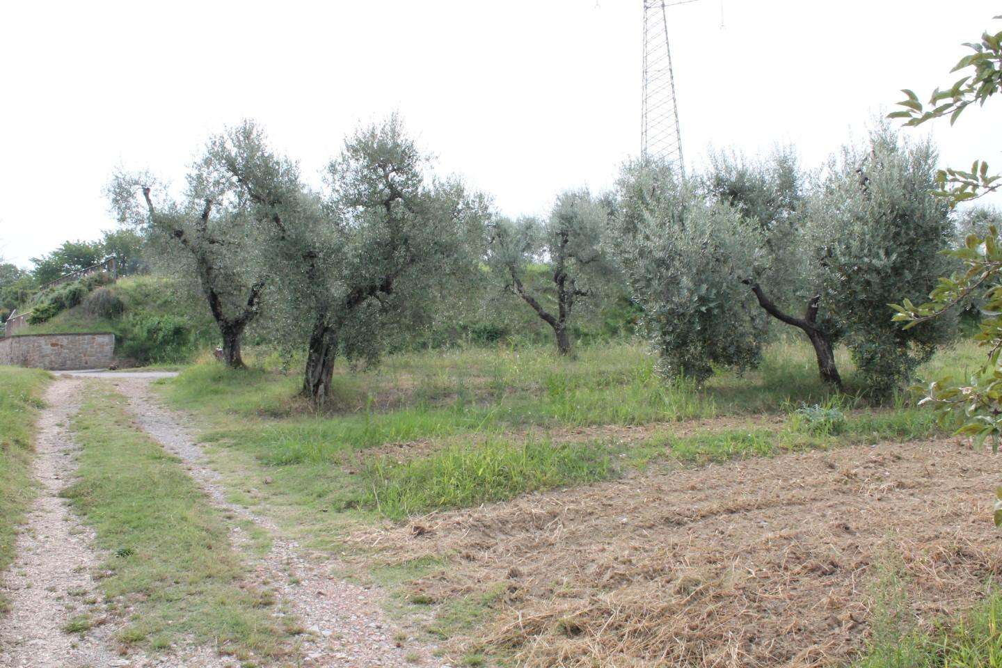 immagine annuncio 5 di 14