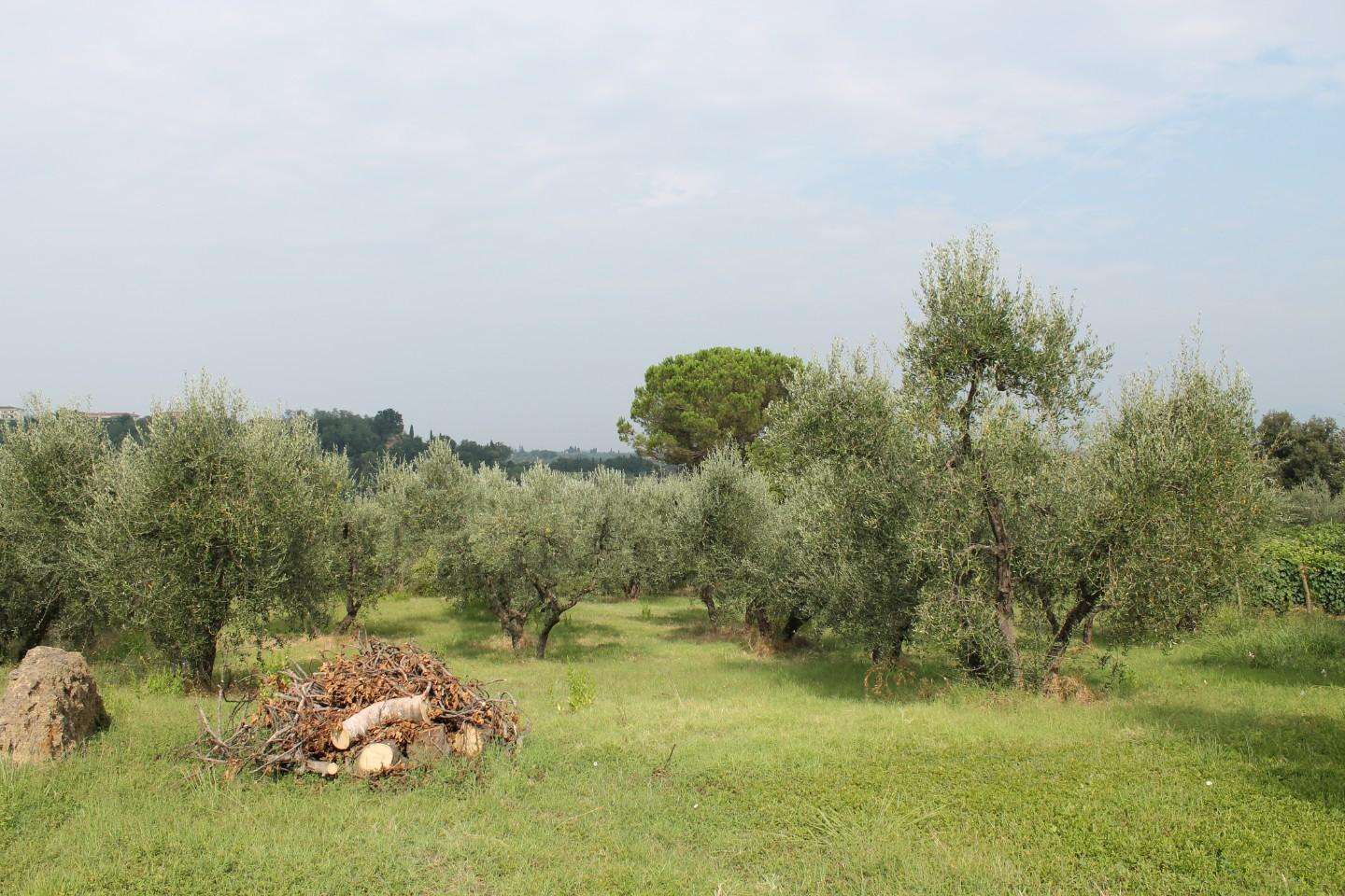immagine annuncio 7 di 14