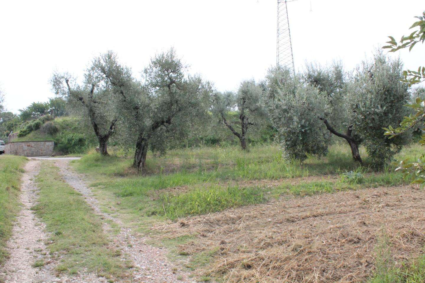 immagine annuncio 8 di 14