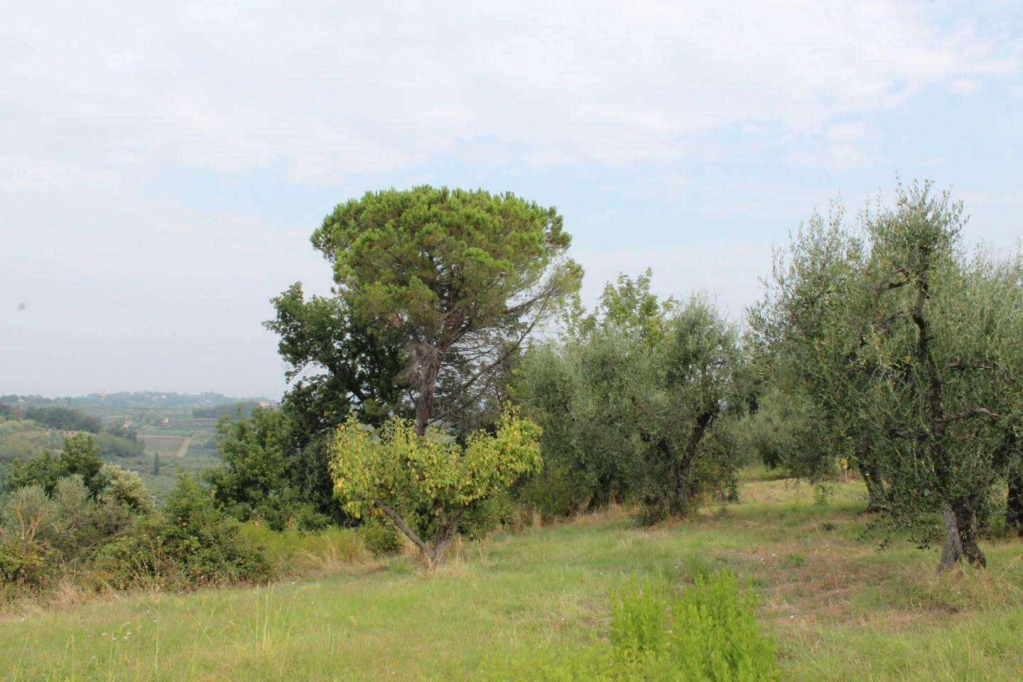 immagine annuncio 9 di 14