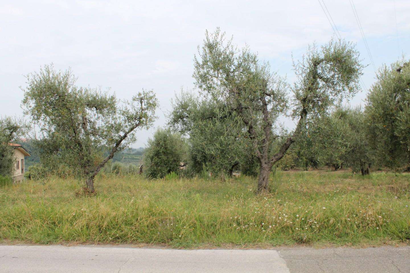immagine annuncio 10 di 14