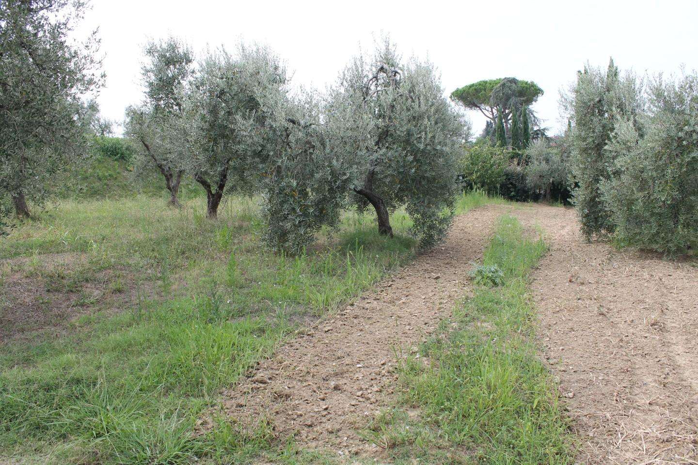 immagine annuncio 11 di 14