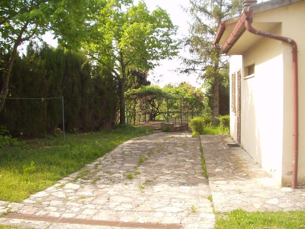  - foto 4