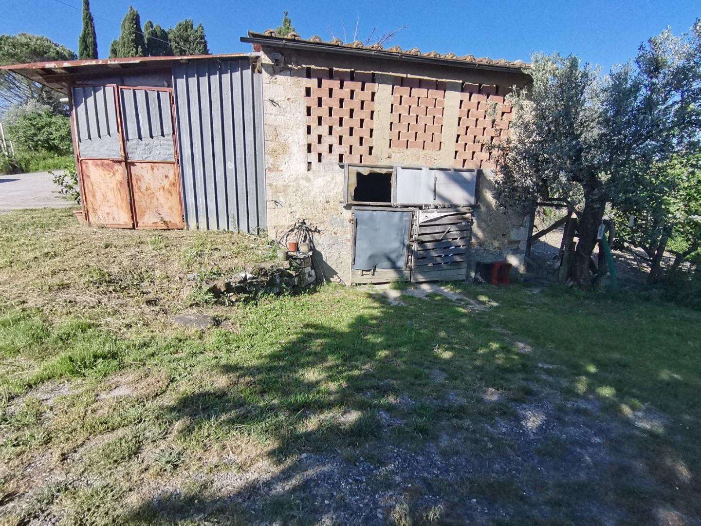 immagine annuncio 0 di 15