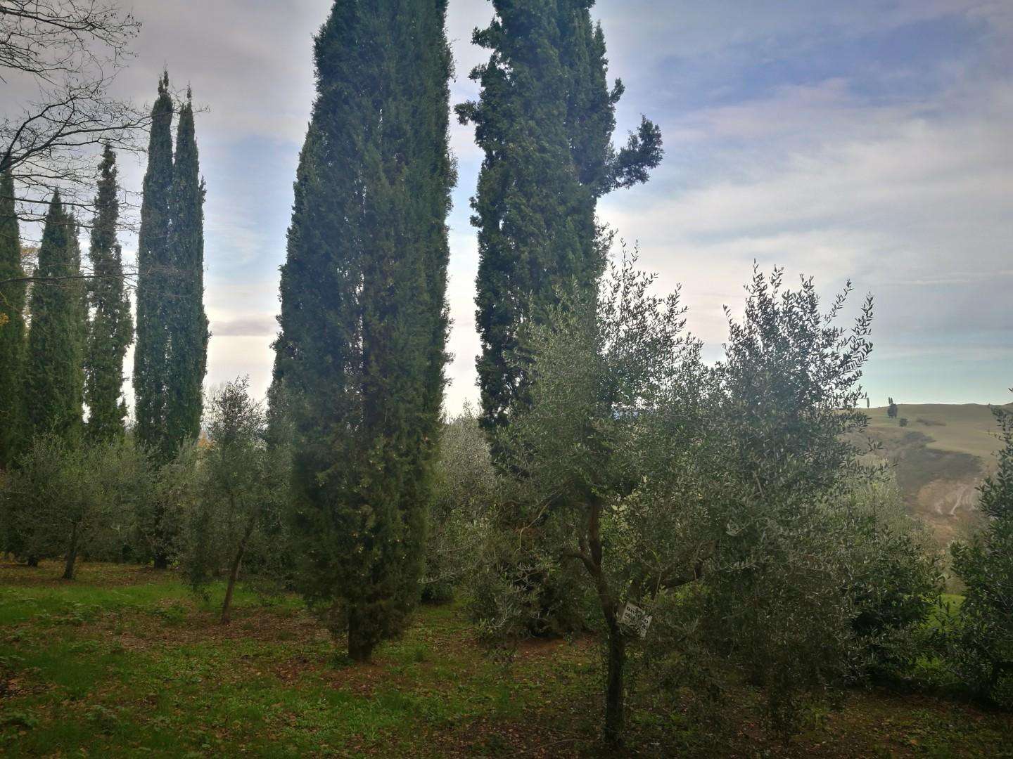  - foto 23