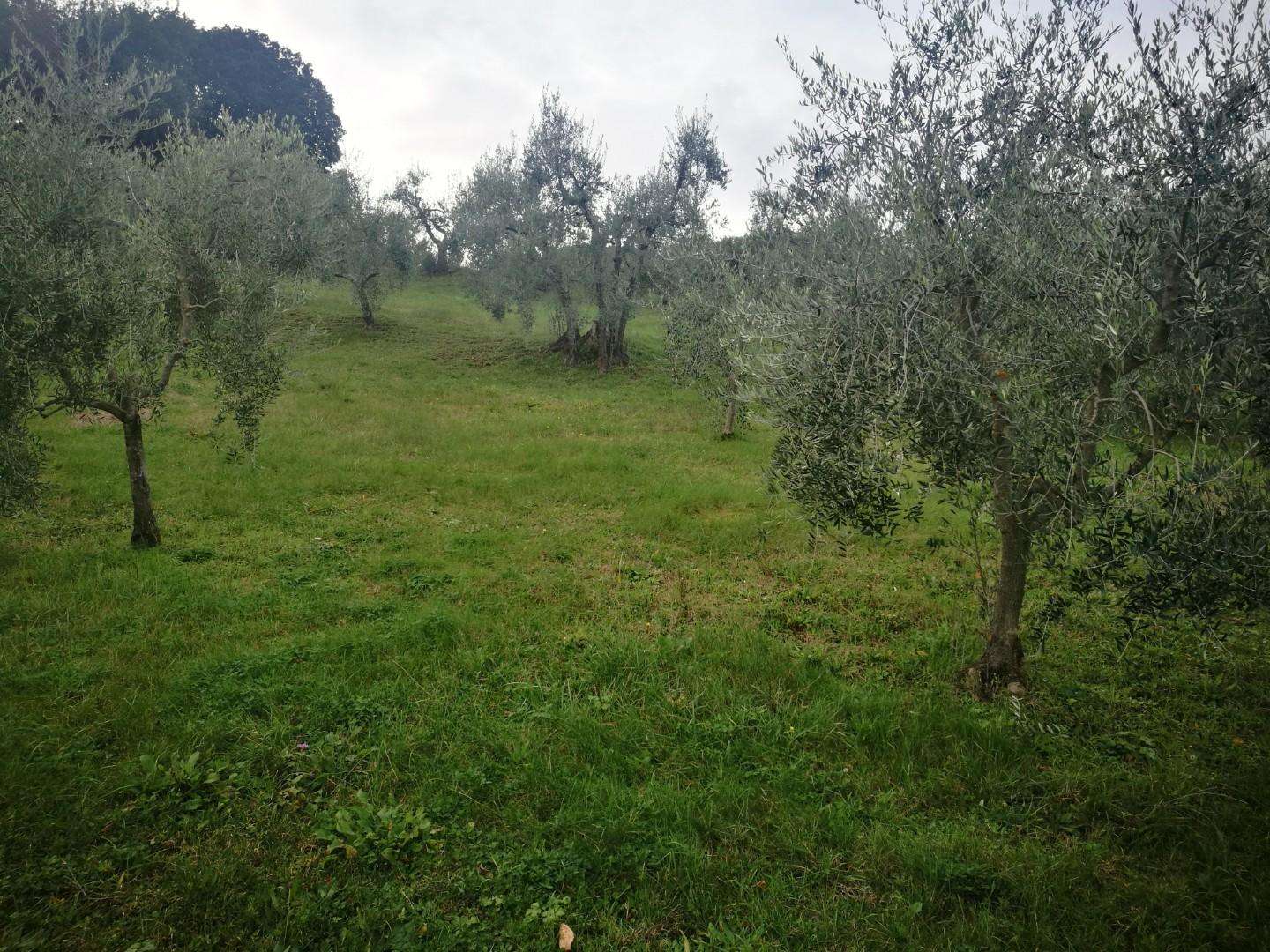  - foto 6