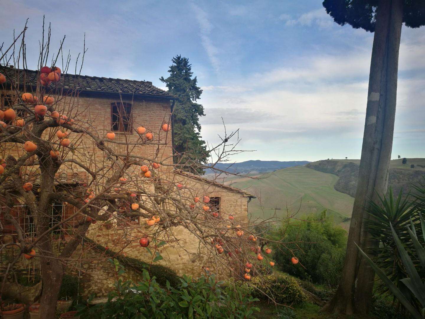  - foto 8