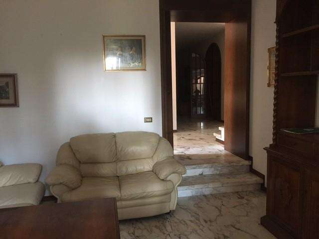  - foto 19
