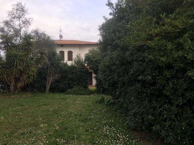  - foto 35