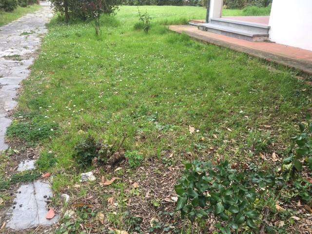  - foto 36