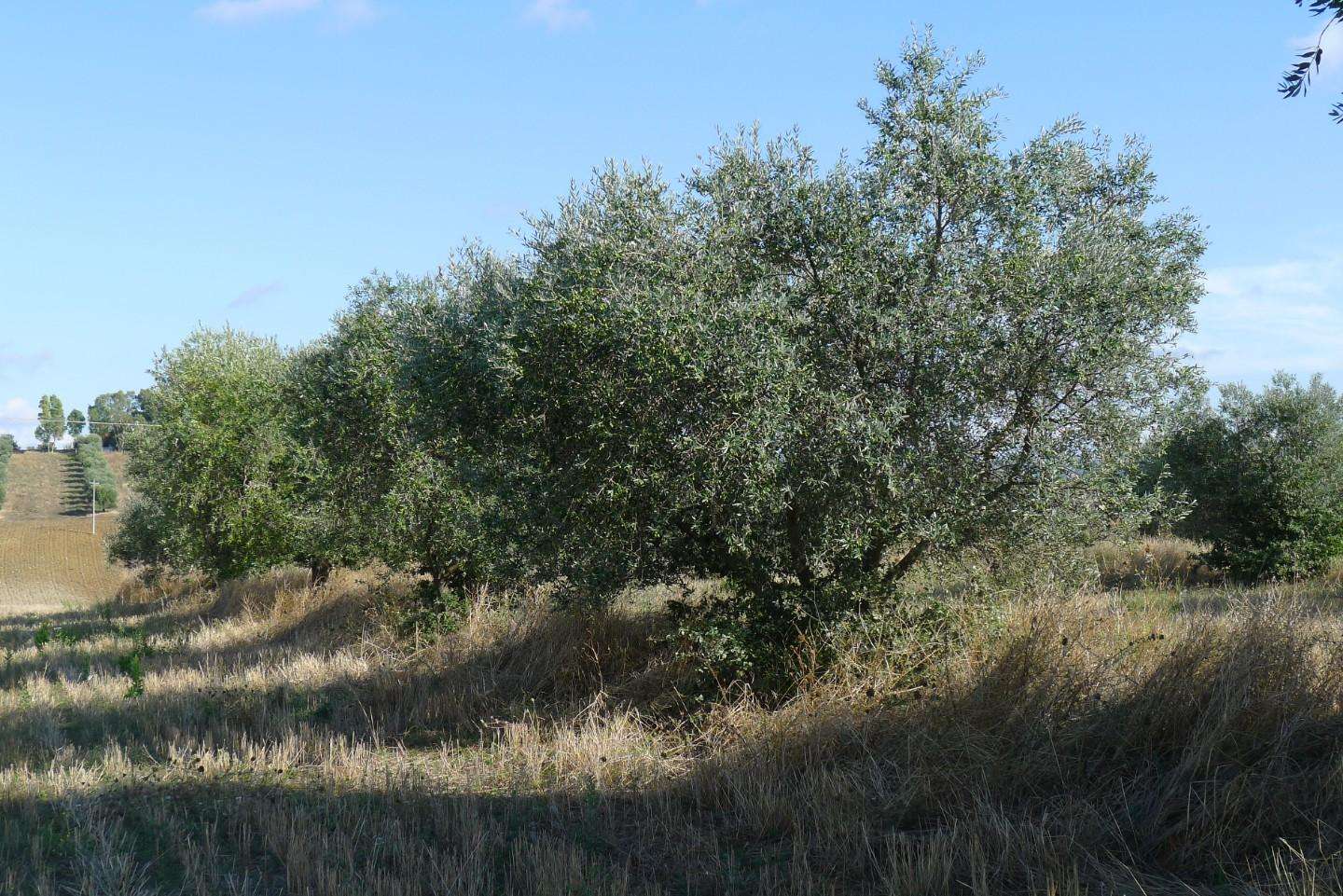  - foto 48